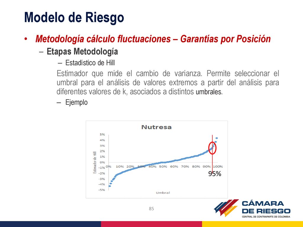 Modelo de Riesgo Metodología cálculo fluctuaciones – Garantías por Posición. Etapas Metodología. Estadístico de Hill.