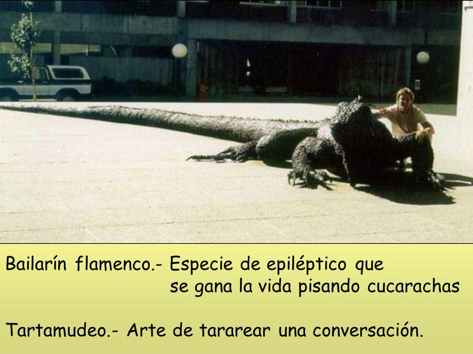 Bailarín flamenco.- Especie de epiléptico que se gana la vida pisando cucarachas Tartamudeo.- Arte de tararear una conversación.