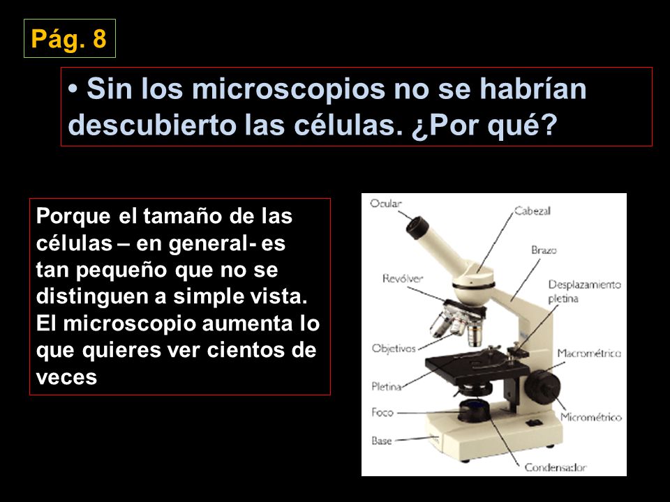 Pág. 8 • Sin los microscopios no se habrían descubierto las células. ¿Por qué