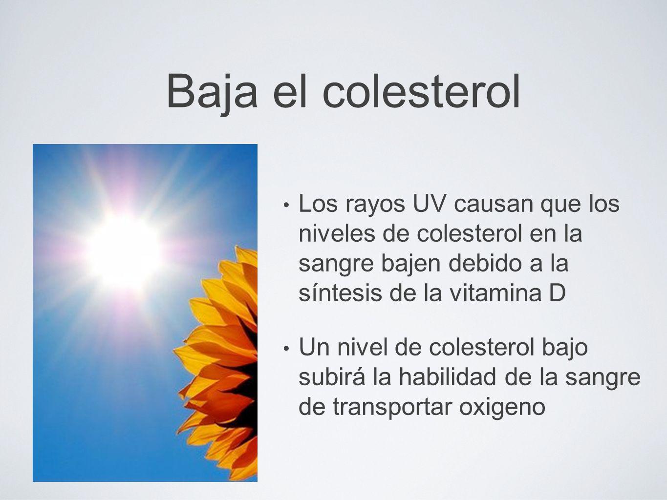 Baja el colesterol Los rayos UV causan que los niveles de colesterol en la sangre bajen debido a la síntesis de la vitamina D.