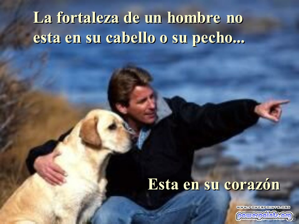 La fortaleza de un hombre no esta en su cabello o su pecho...