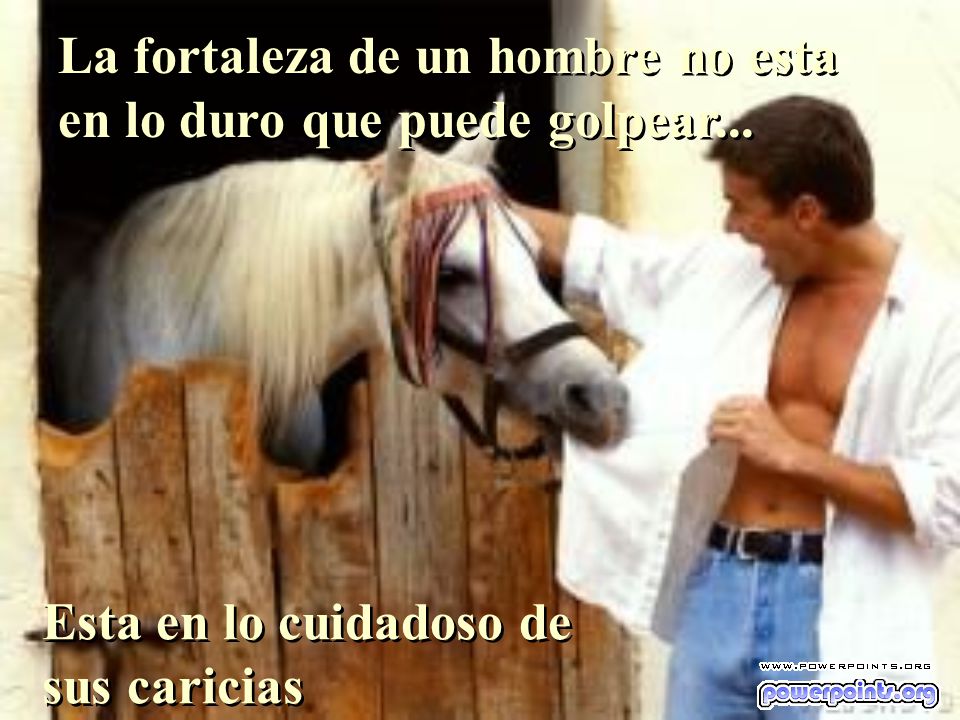 La fortaleza de un hombre no esta en lo duro que puede golpear...