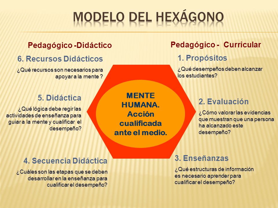 MODELO DEL HEXÁGONO Pedagógico -Didáctico Pedagógico - Curricular