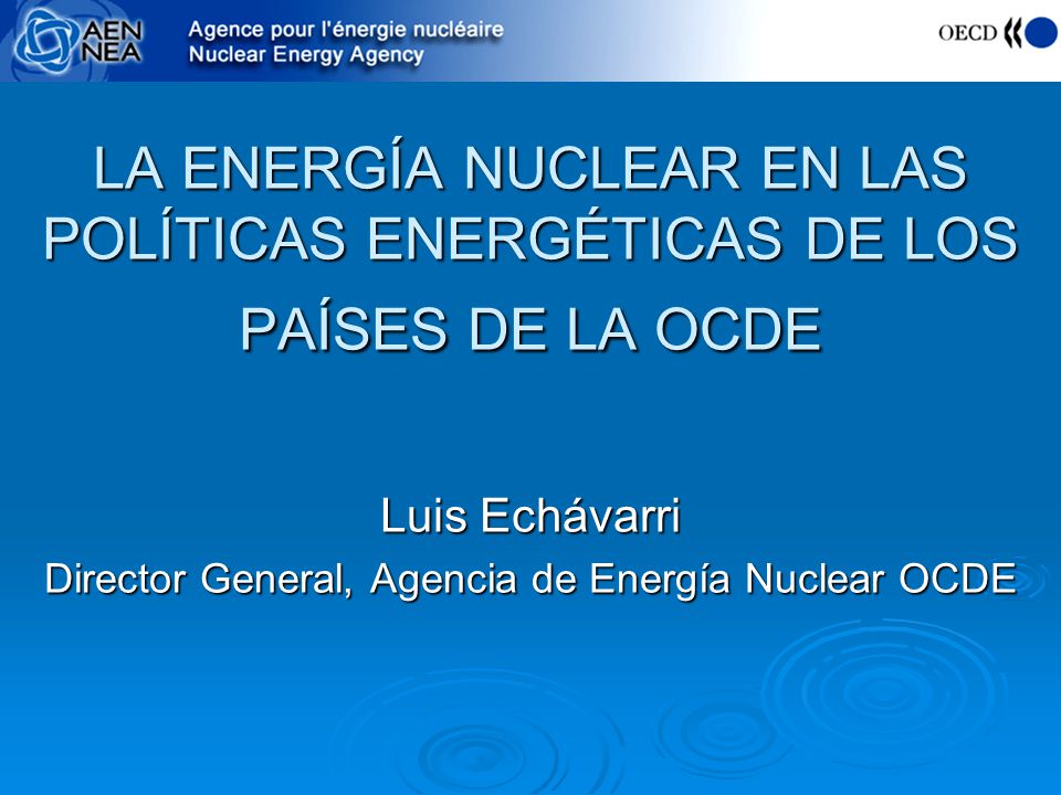 Luis Echávarri Director General, Agencia de Energía Nuclear OCDE