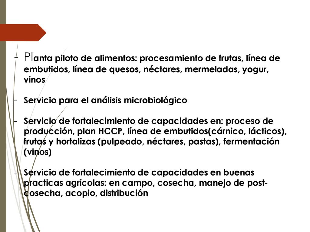 Planta piloto de alimentos: procesamiento de frutas, línea de embutidos, línea de quesos, néctares, mermeladas, yogur, vinos