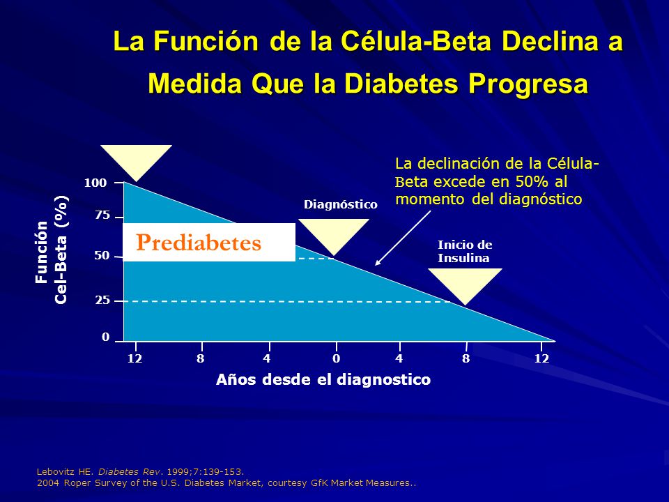 La Función de la Célula-Beta Declina a Medida Que la Diabetes Progresa