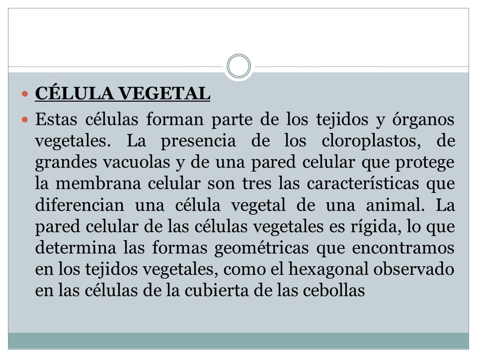 CÉLULA VEGETAL