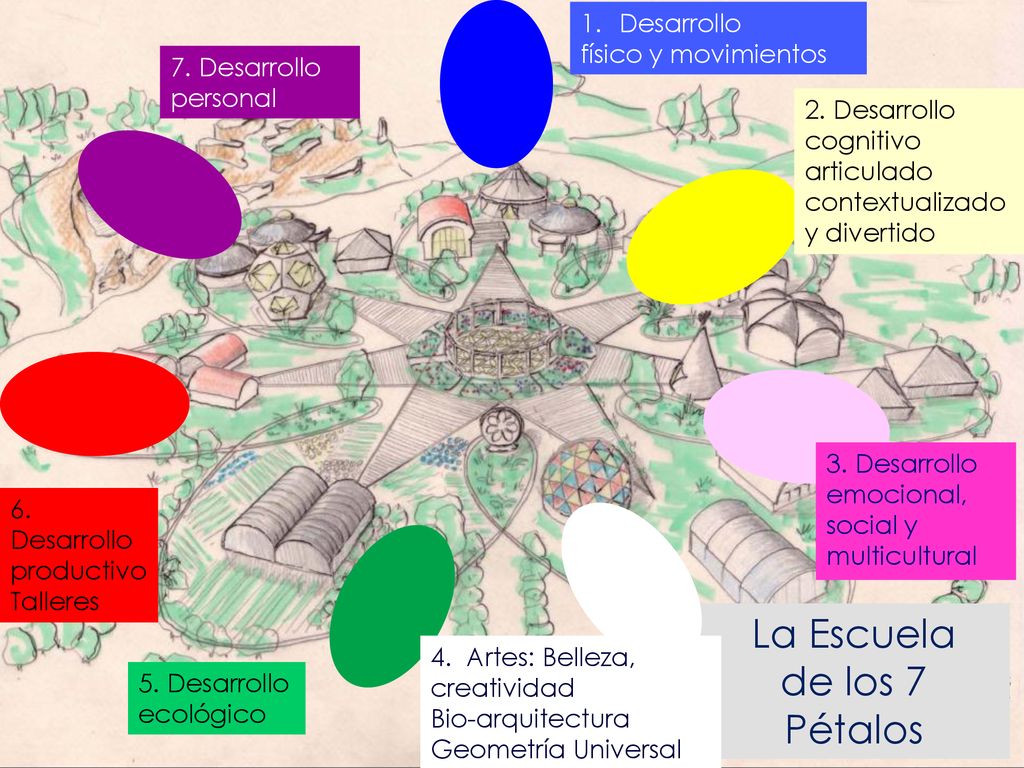 La Escuela de los 7 Pétalos Desarrollo físico y movimientos