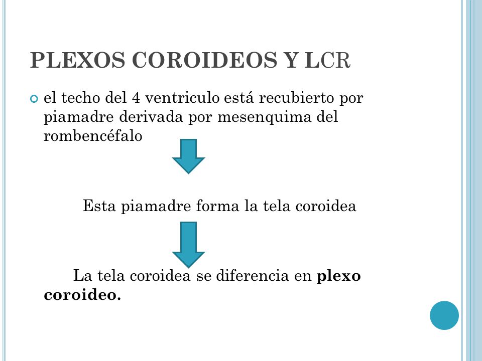 PLEXOS COROIDEOS Y LCR el techo del 4 ventriculo está recubierto por piamadre derivada por mesenquima del rombencéfalo.