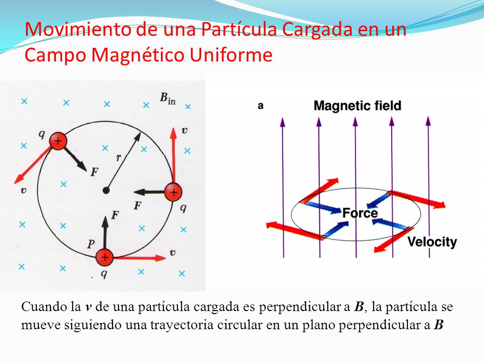 Movimiento de una Partícula Cargada en un Campo Magnético Uniforme