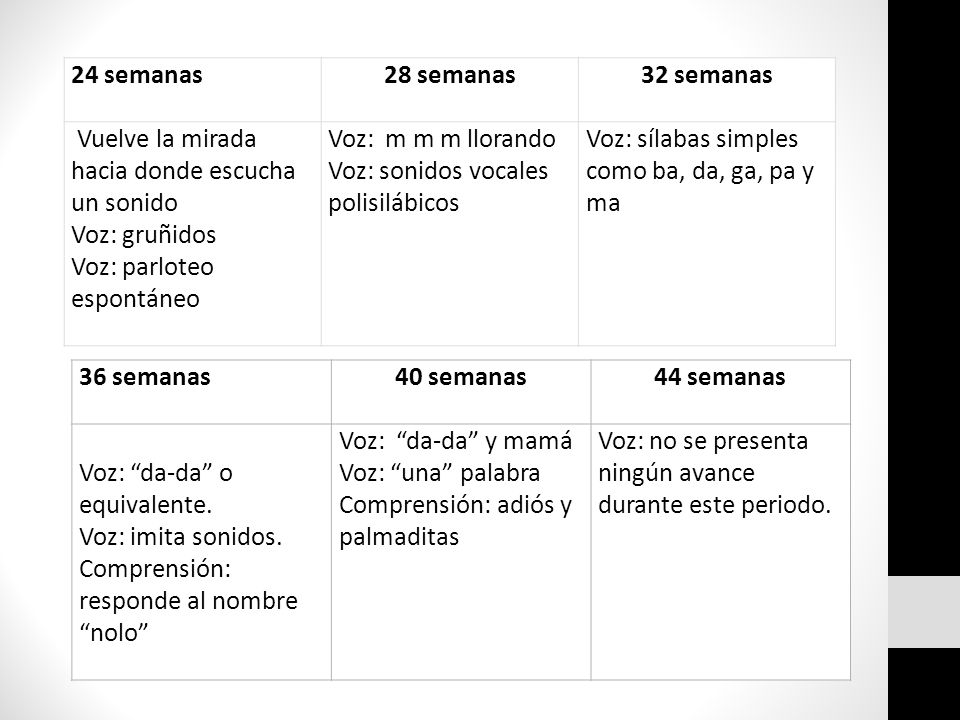 24 semanas 28 semanas. 32 semanas. Vuelve la mirada hacia donde escucha un sonido. Voz: gruñidos.