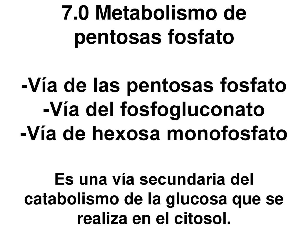 7.0 Metabolismo de pentosas fosfato -Vía de las pentosas fosfato -Vía del fosfogluconato -Vía de hexosa monofosfato Es una vía secundaria del catabolismo de la glucosa que se realiza en el citosol.