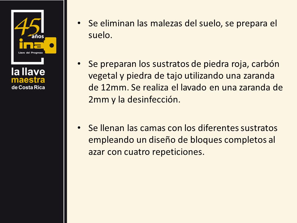 Se eliminan las malezas del suelo, se prepara el suelo.