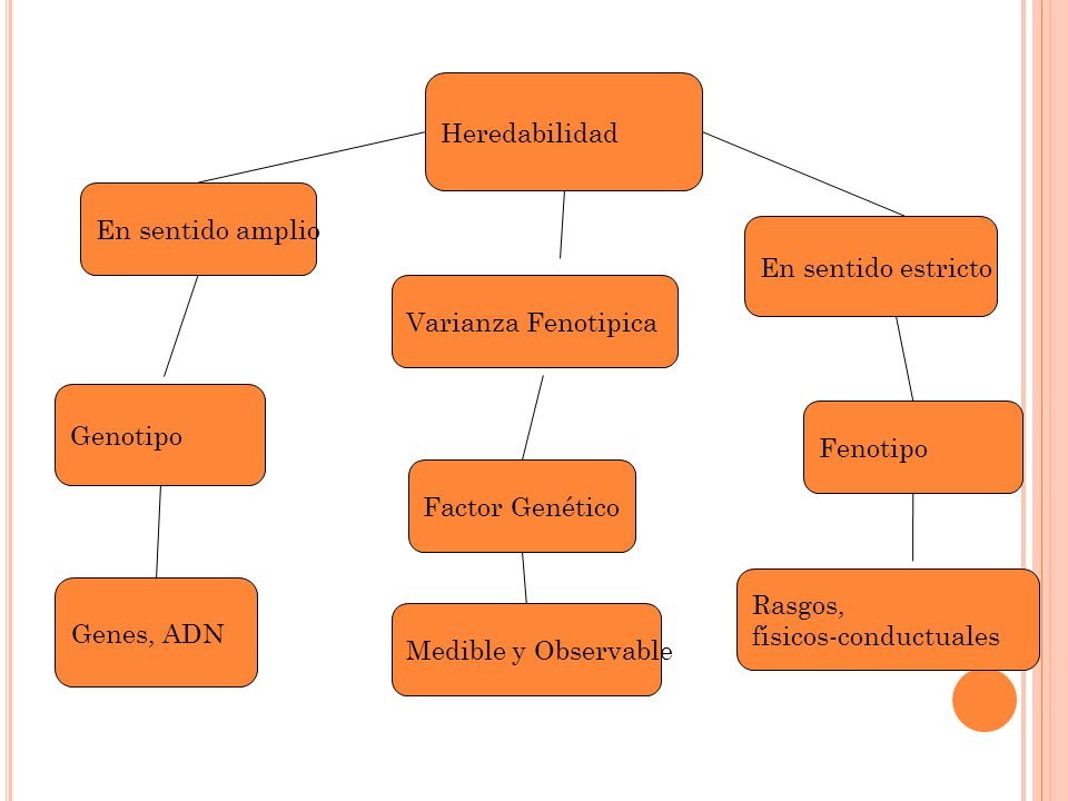 Heredabilidad En sentido amplio. En sentido estricto. Varianza Fenotipica. Genotipo. Fenotipo. Factor Genético.