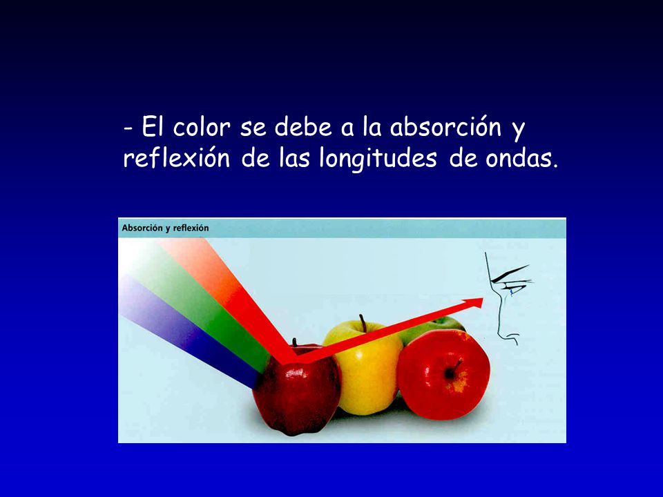 El color se debe a la absorción y reflexión de las longitudes de ondas.
