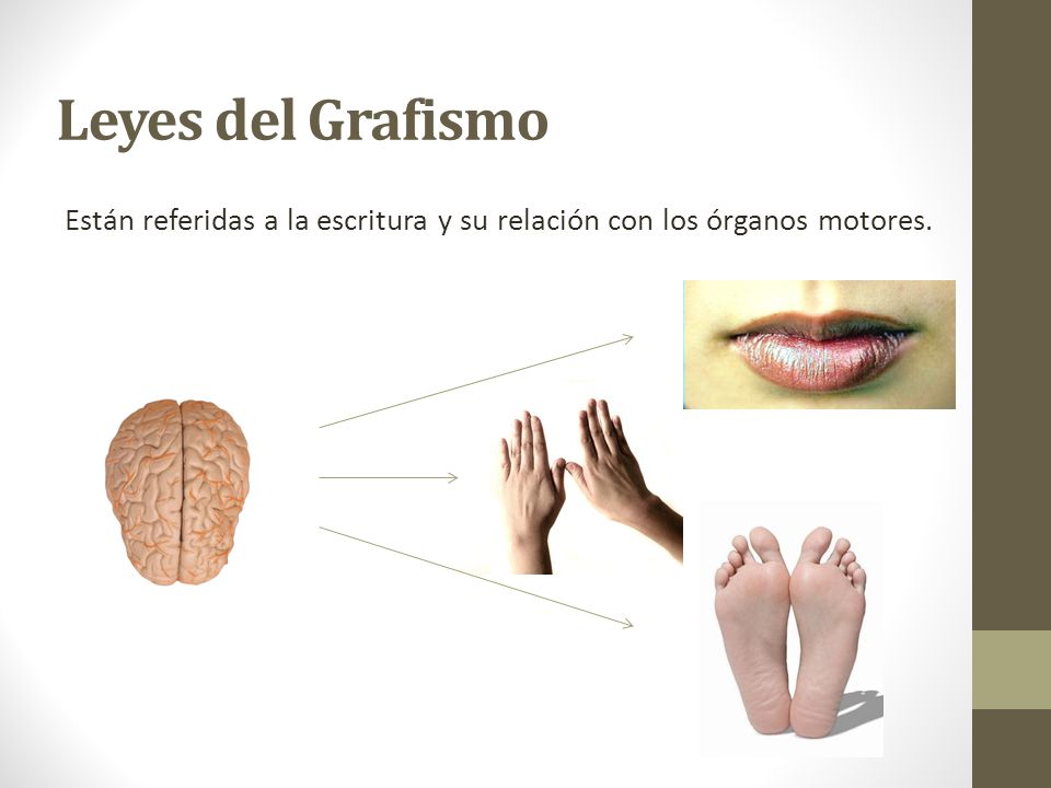 Leyes del Grafismo Están referidas a la escritura y su relación con los órganos motores.