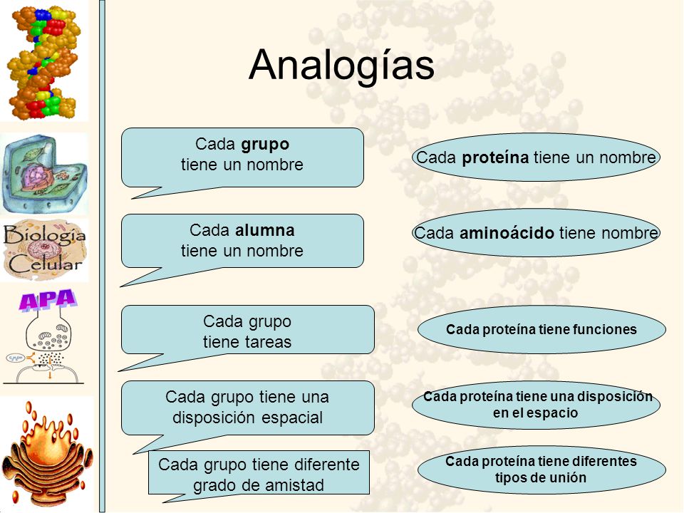 Analogías Cada grupo tiene un nombre Cada proteína tiene un nombre