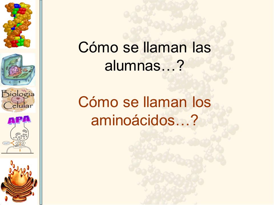 Cómo se llaman las alumnas… Cómo se llaman los aminoácidos…