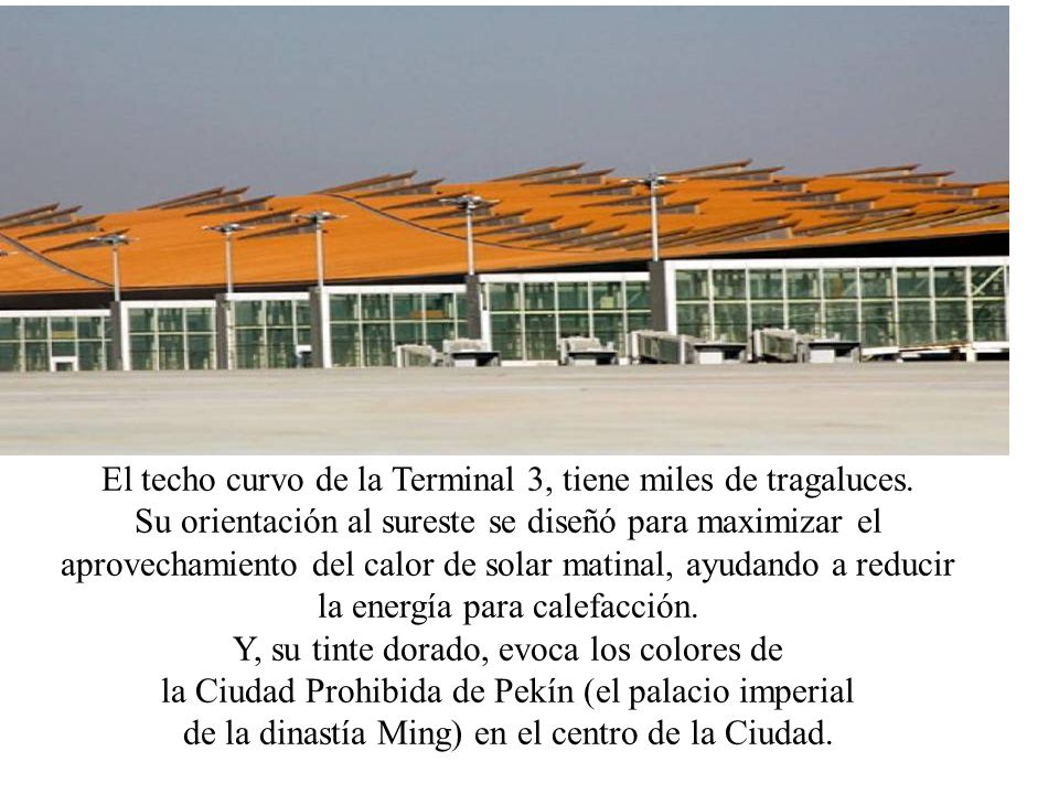 El techo curvo de la Terminal 3, tiene miles de tragaluces.