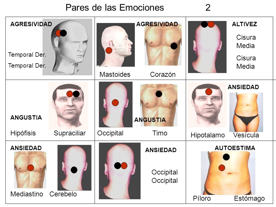 Pares de las Emociones 2 Cisura Media Mastoides Corazón