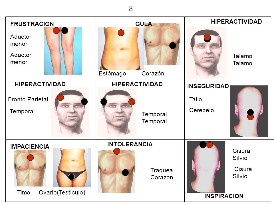 8 HIPERACTIVIDAD FRUSTRACION GULA Aductor menor Talamo Talamo