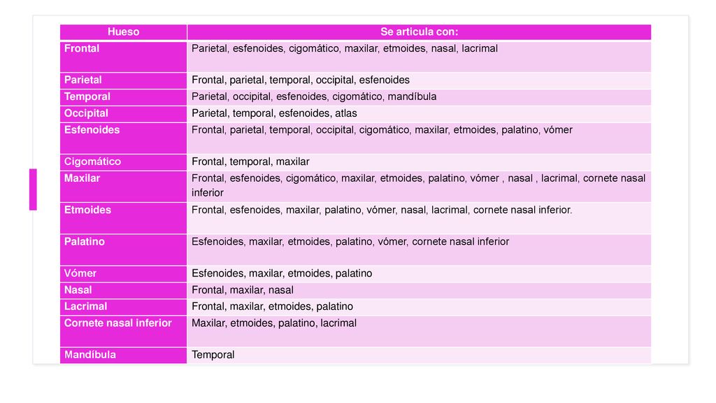 Hueso Se articula con: Frontal. Parietal, esfenoides, cigomático, maxilar, etmoides, nasal, lacrimal.