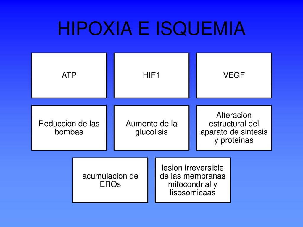 HIPOXIA E ISQUEMIA ATP HIF1 VEGF Reduccion de las bombas