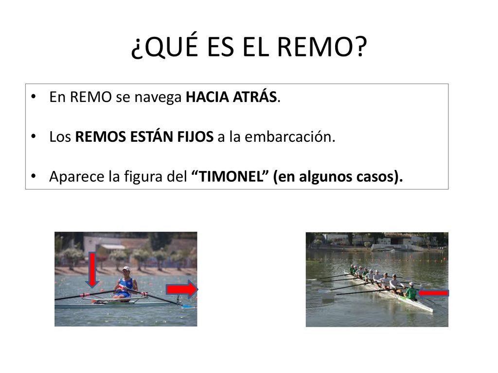 ¿QUÉ ES EL REMO En REMO se navega HACIA ATRÁS.