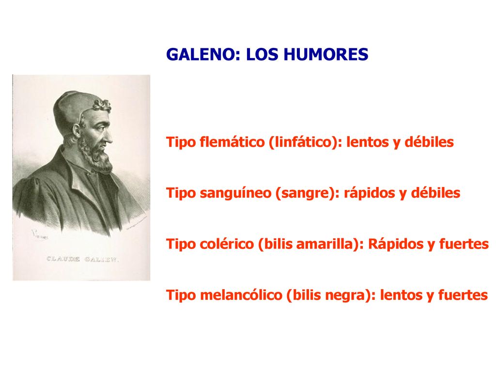 GALENO: LOS HUMORES Tipo flemático (linfático): lentos y débiles