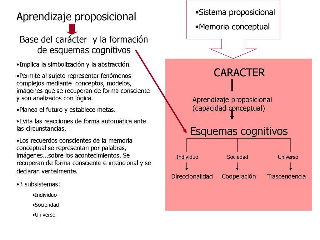 Base del carácter y la formación de esquemas cognitivos