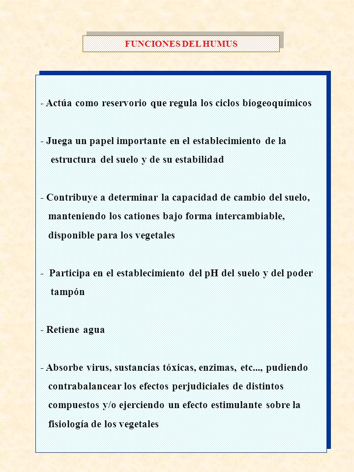 - Actúa como reservorio que regula los ciclos biogeoquímicos