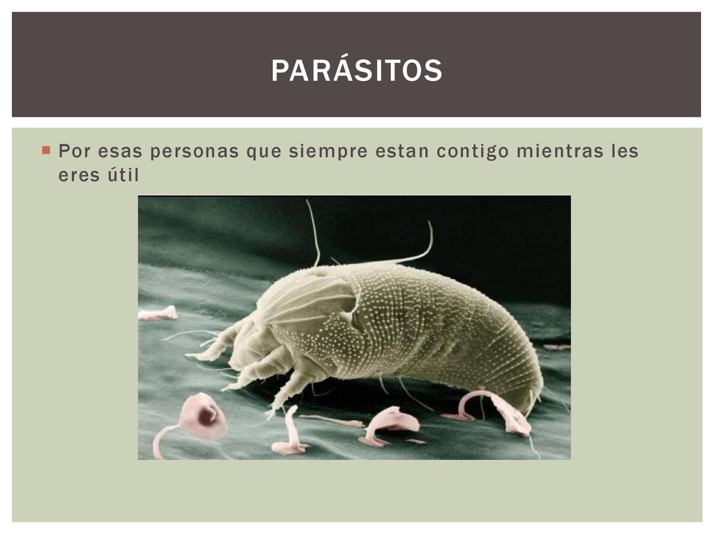 parásitos Por esas personas que siempre estan contigo mientras les eres útil