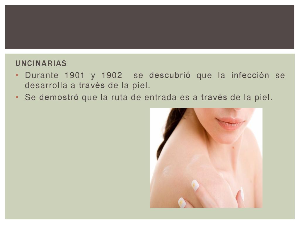 UNCINARIAS Durante 1901 y 1902 se descubrió que la infección se desarrolla a través de la piel.