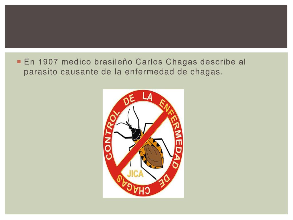 En 1907 medico brasileño Carlos Chagas describe al parasito causante de la enfermedad de chagas.