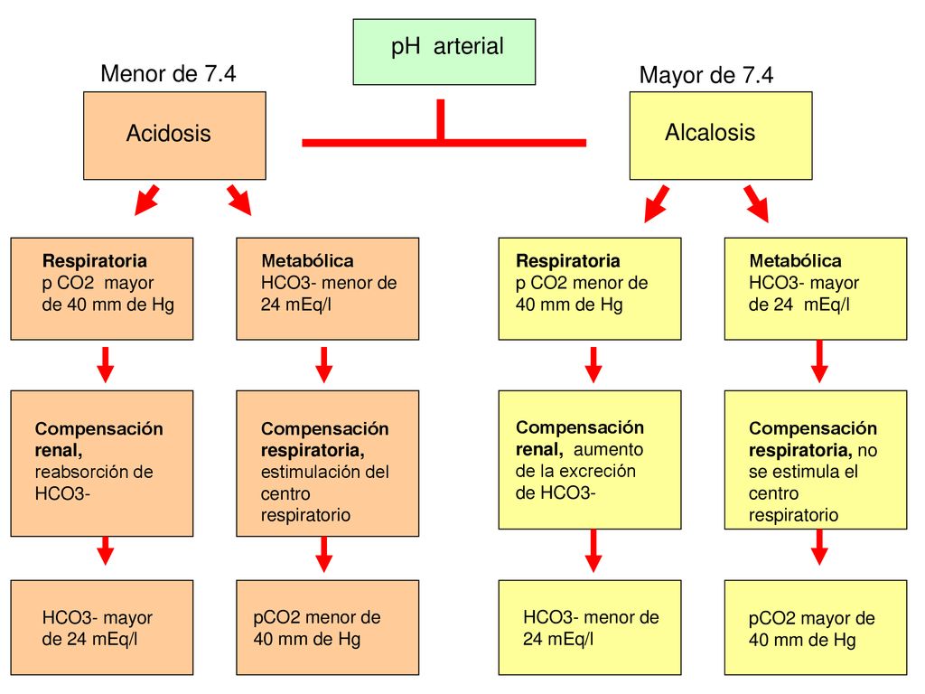 pH arterial Menor de 7.4 Mayor de 7.4 Acidosis Alcalosis