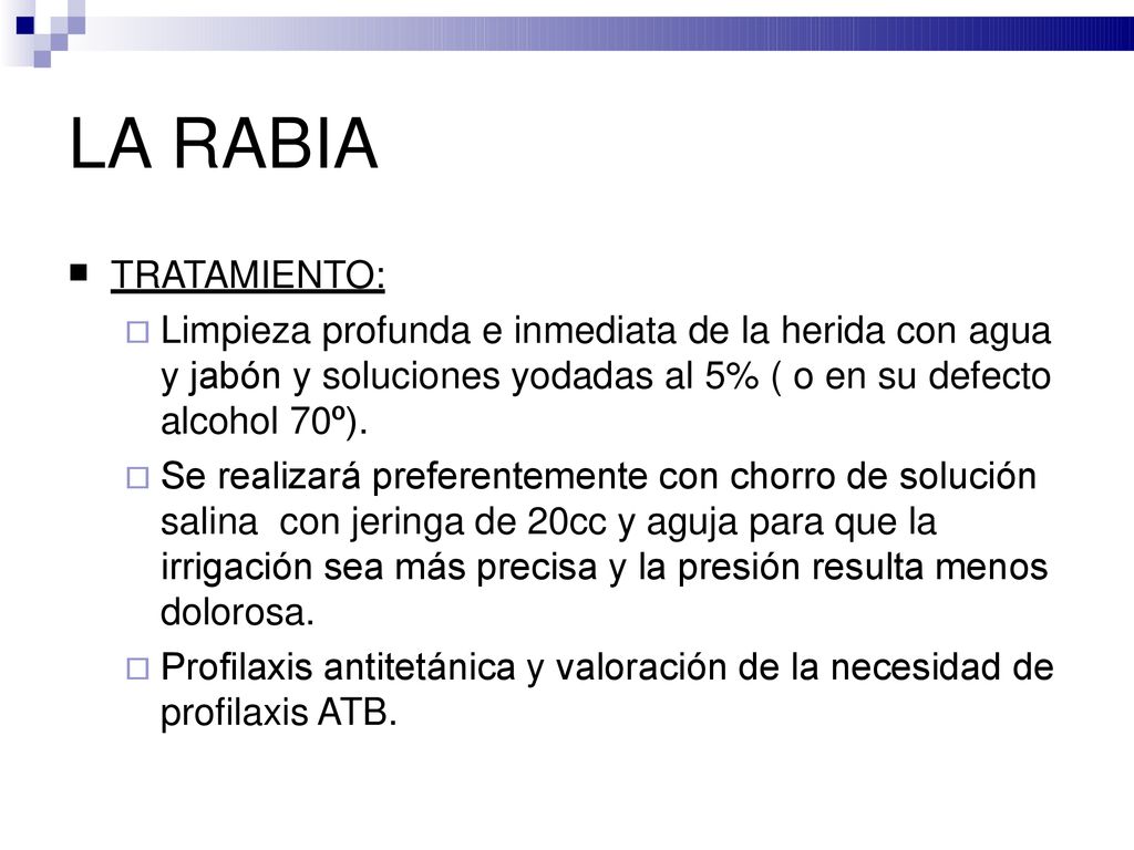 LA RABIA TRATAMIENTO: Limpieza profunda e inmediata de la herida con agua y jabón y soluciones yodadas al 5% ( o en su defecto alcohol 70º).