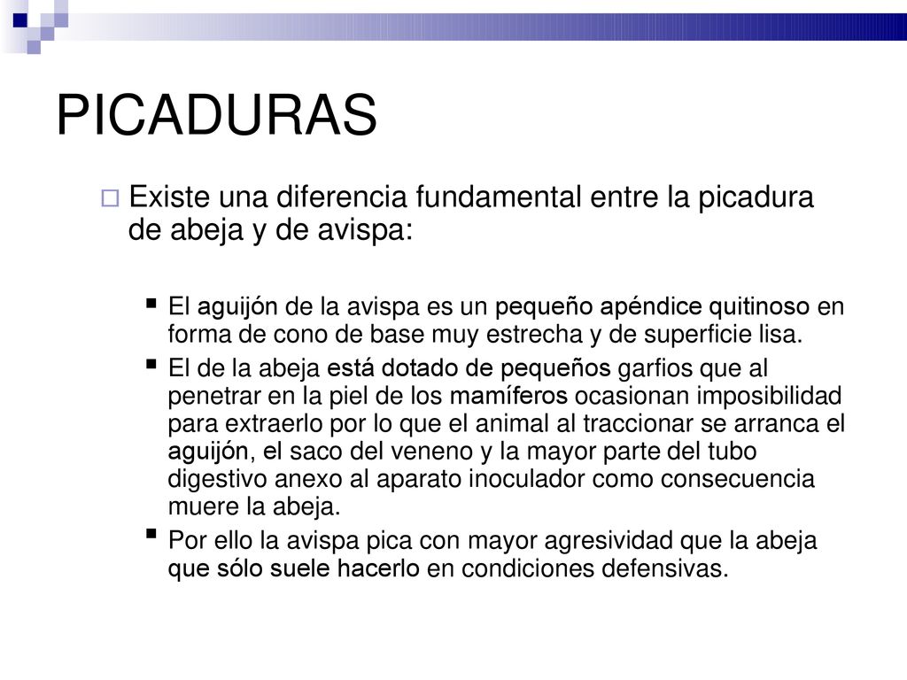 PICADURAS Existe una diferencia fundamental entre la picadura de abeja y de avispa: 