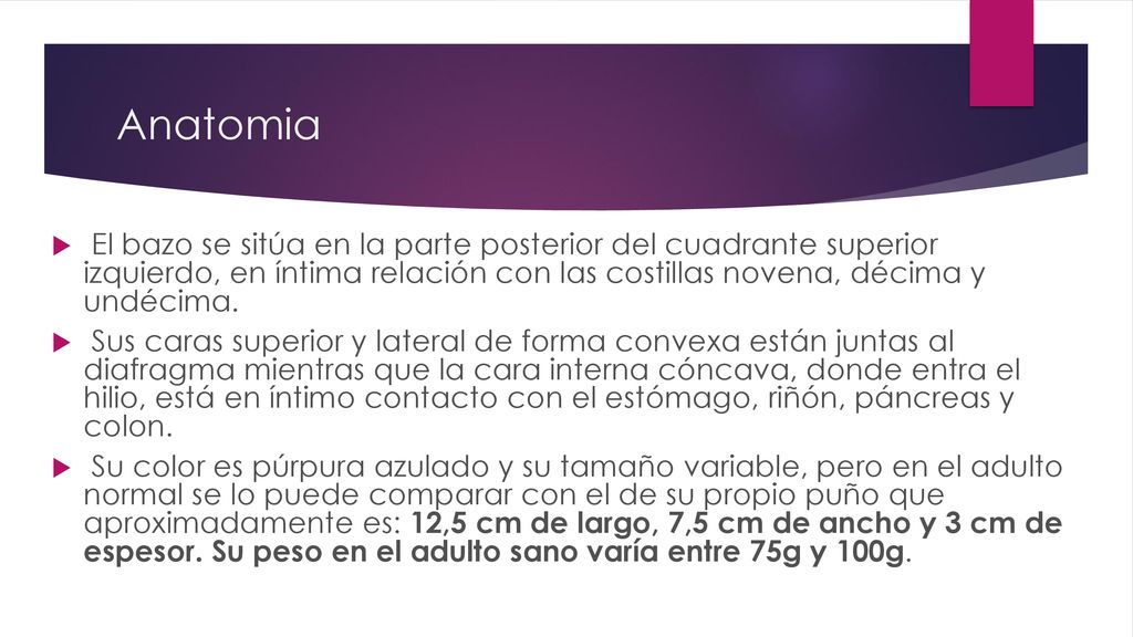 Anatomia El bazo se sitúa en la parte posterior del cuadrante superior izquierdo, en íntima relación con las costillas novena, décima y undécima.