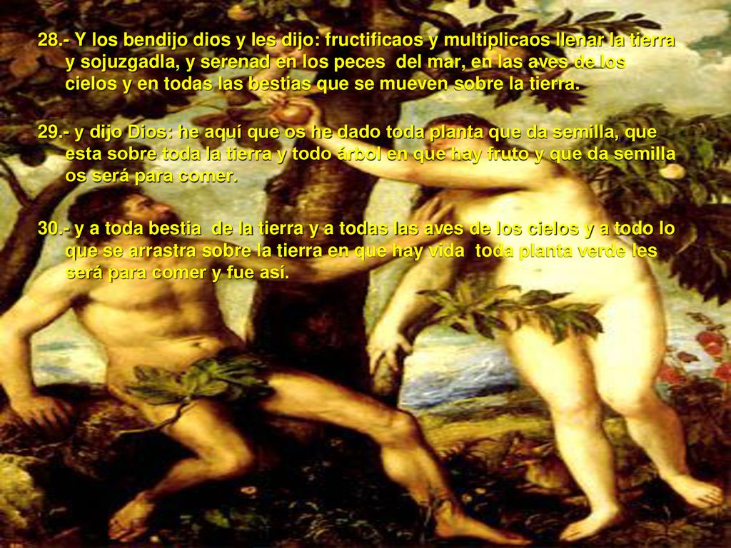 28.- Y los bendijo dios y les dijo: fructificaos y multiplicaos llenar la tierra y sojuzgadla, y serenad en los peces del mar, en las aves de los cielos y en todas las bestias que se mueven sobre la tierra.