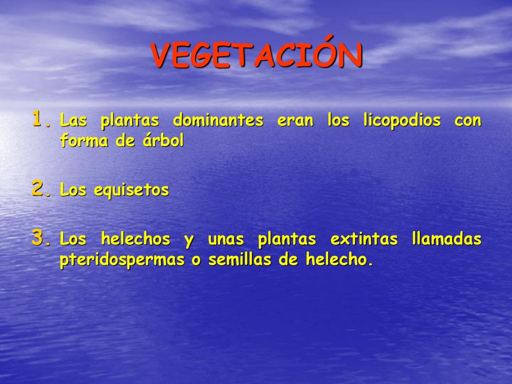 VEGETACIÓN Las plantas dominantes eran los licopodios con forma de árbol. Los equisetos.