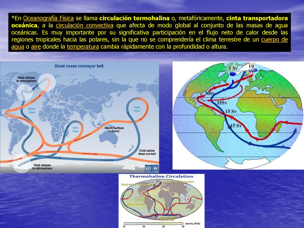 *En Oceanografía Física se llama circulación termohalina o, metafóricamente, cinta transportadora oceánica, a la circulación convectiva que afecta de modo global al conjunto de las masas de agua oceánicas.