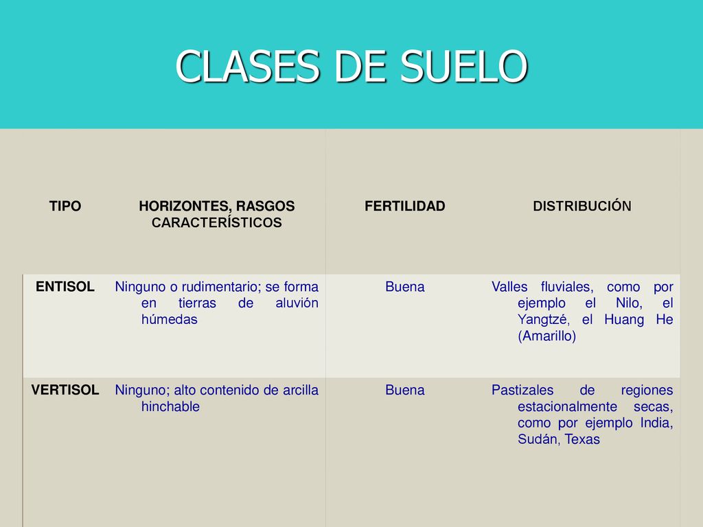 CLASES DE SUELO TIPO HORIZONTES, RASGOS CARACTERÍSTICOS FERTILIDAD