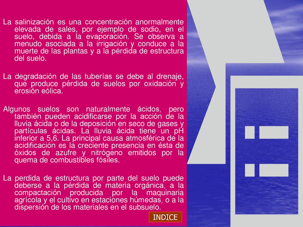 La salinización es una concentración anormalmente elevada de sales, por ejemplo de sodio, en el suelo, debida a la evaporación. Se observa a menudo asociada a la irrigación y conduce a la muerte de las plantas y a la pérdida de estructura del suelo.