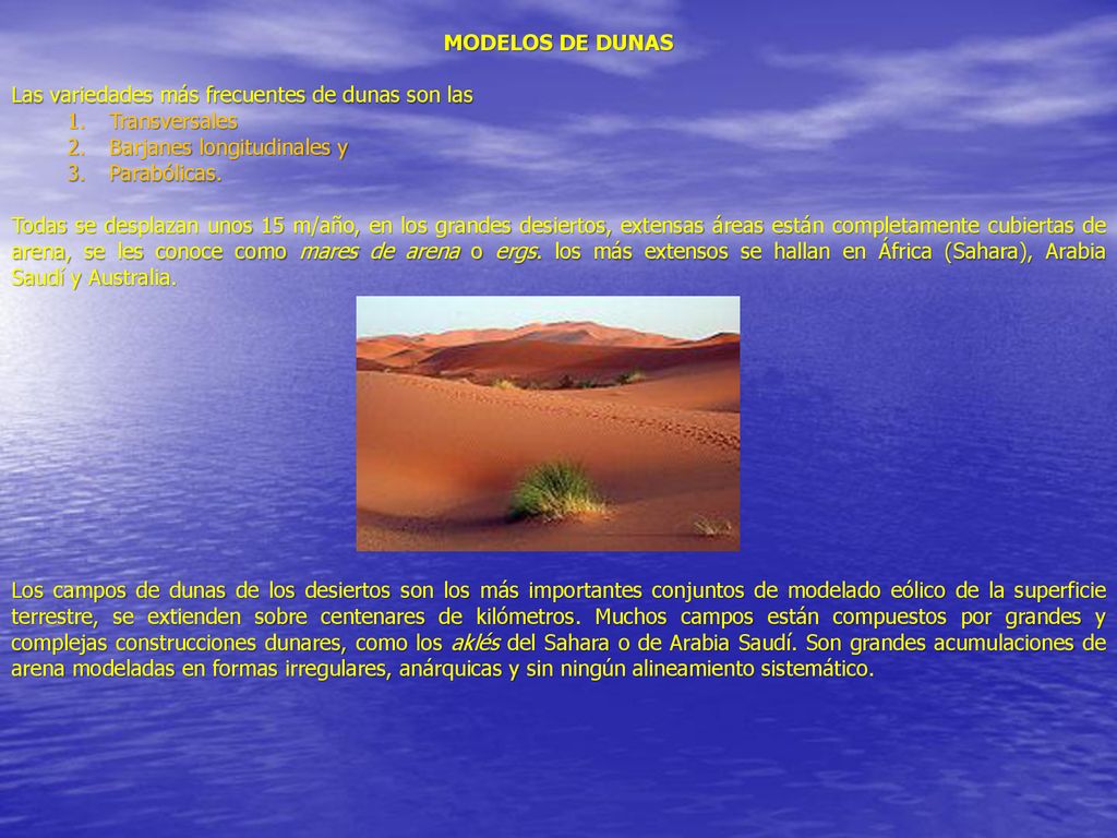 MODELOS DE DUNAS Las variedades más frecuentes de dunas son las. Transversales. Barjanes longitudinales y.