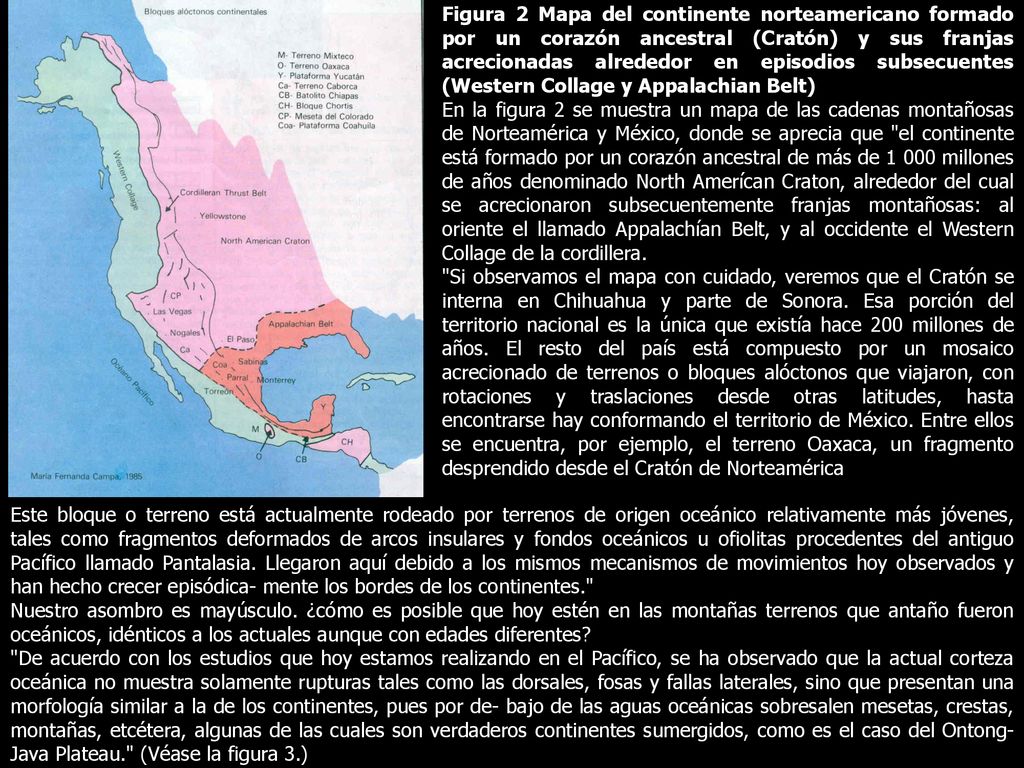 Figura 2 Mapa del continente norteamericano formado por un corazón ancestral (Cratón) y sus franjas acrecionadas alrededor en episodios subsecuentes (Western Collage y Appalachian Belt)