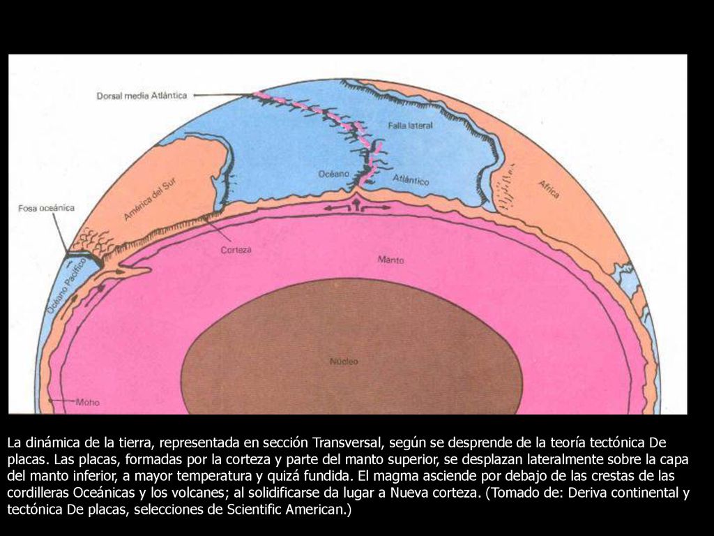 La dinámica de la tierra, representada en sección Transversal, según se desprende de la teoría tectónica De placas.