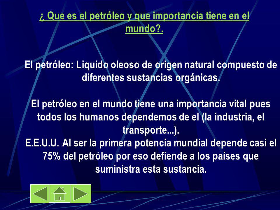¿ Que es el petróleo y que importancia tiene en el mundo .