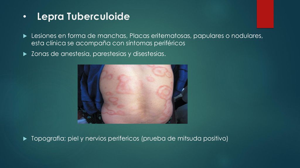 Estudiante Florencia Sejas Pereira Ppt Descargar