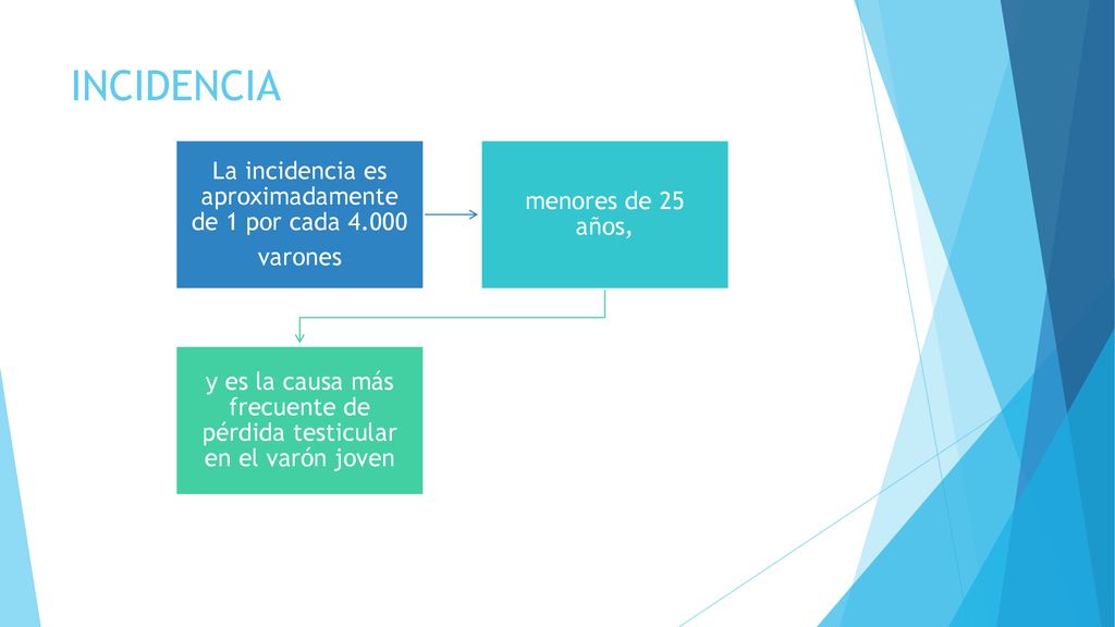 INCIDENCIA La incidencia es aproximadamente de 1 por cada 4.000