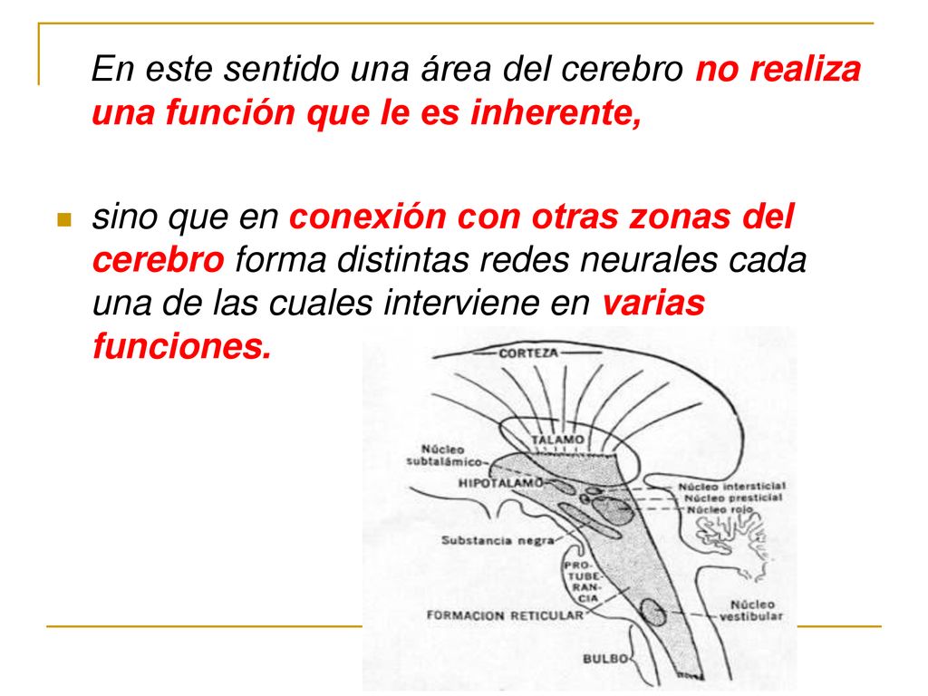 En este sentido una área del cerebro no realiza una función que le es inherente,